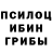 Галлюциногенные грибы мухоморы Stas Kuchmistenko