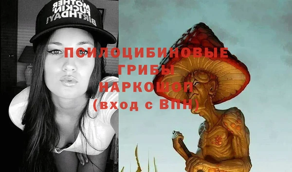 спиды Протвино