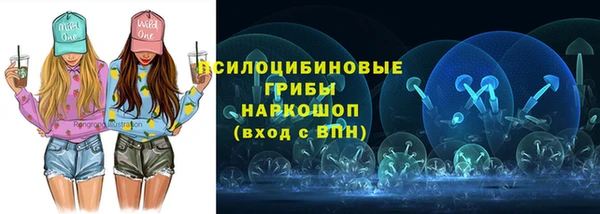 ПСИЛОЦИБИНОВЫЕ ГРИБЫ Покачи