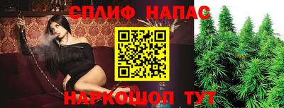 не бодяженный Гатчина