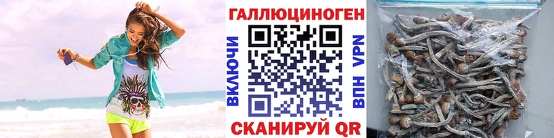Псилоцибиновые грибы Magic Shrooms  закладка  Абинск 
