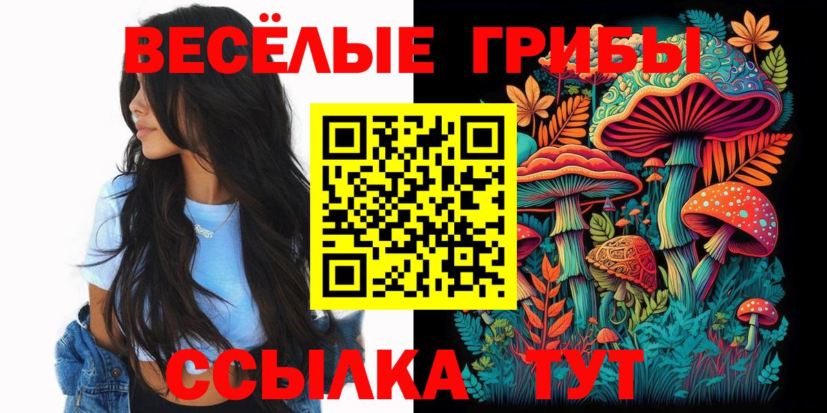 Псилоцибиновые грибы Psilocybe Абинск