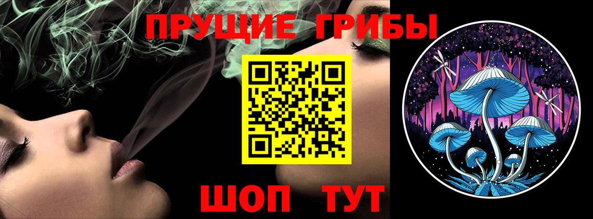 Псилоцибиновые грибы мицелий  как найти закладки  Вход с VPN  Абинск  Псилоцибиновые грибы MAGIC MUSHROOMS 