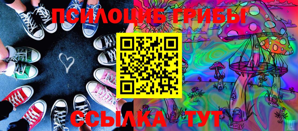 Псилоцибиновые грибы мухоморы Абинск
