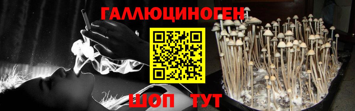 Псилоцибиновые грибы прущие грибы  Абинск 
